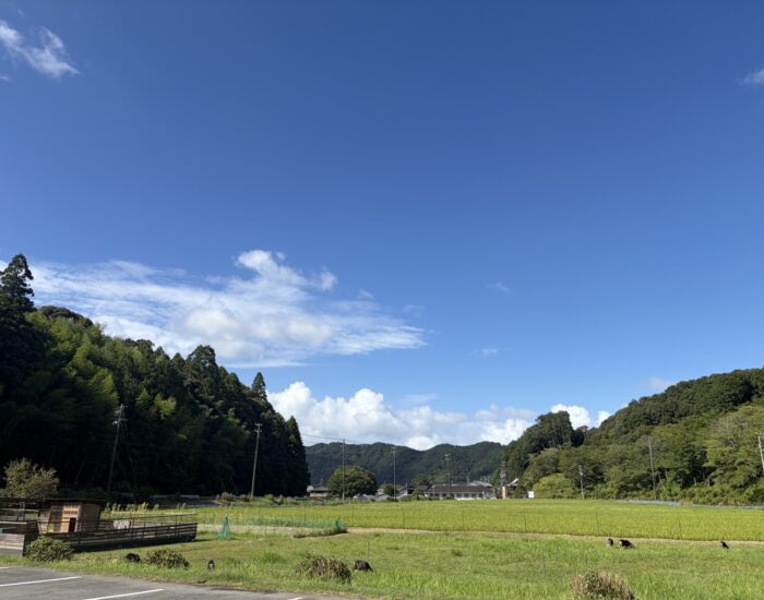 8月営業日のお知らせです。